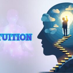 What-is-Intuition